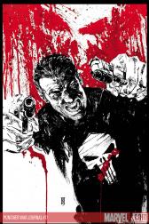 Punisher War Journal #17 