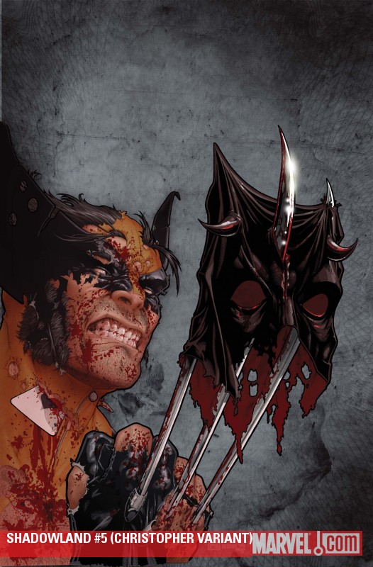 Shadowland (2010) #5 (CHRISTOPHER VARIANT)