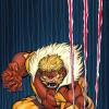 Wolverine (2010) #310 variant cover by Ed McGuinness