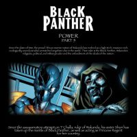 BLACK PANTHER (2008) #11