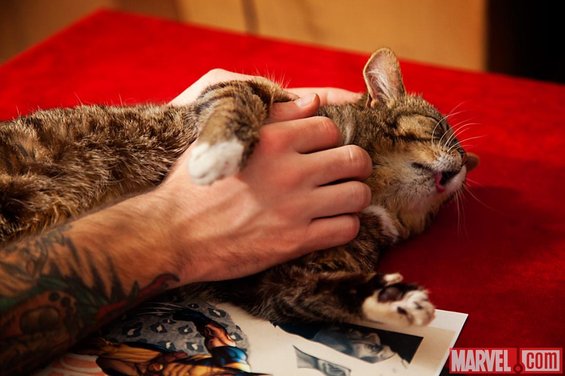 Lil Bub at Marvel HQ