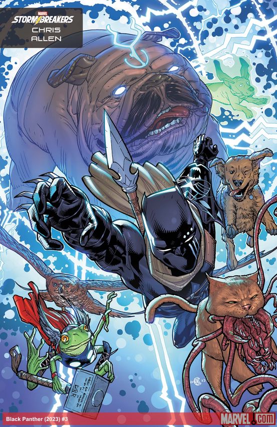 Black Panther (2023) #3 (Variant)