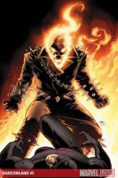 Shadowland #5 