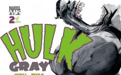 HULK: GRAY (2004) #2 COVER