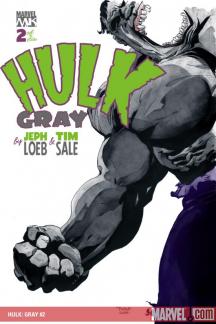 Hulk: Gray (2003) #2