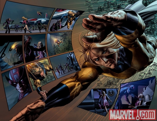 Image Featuring Bullseye