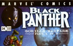 Black Panther #34