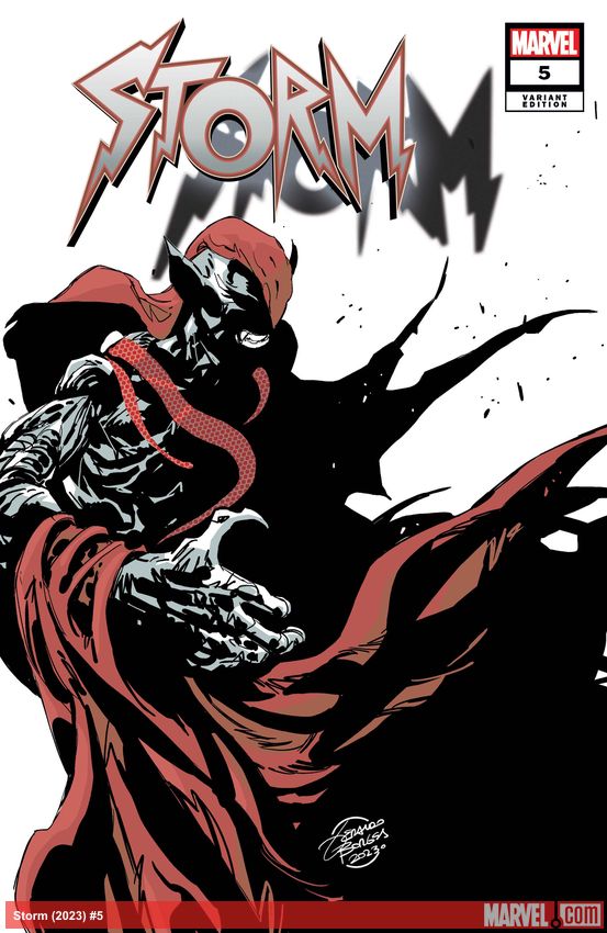 Storm (2023) #5 (Variant)
