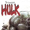 INCREDIBLE HULK (2004) #67 COVER