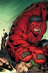Hulk (2008) #18 (MCGUINNESS VARIANT)