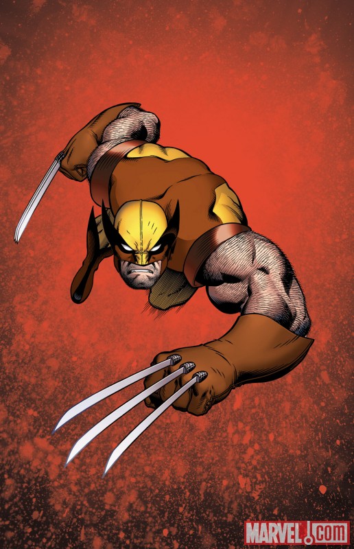 Wolverine by Ed McGuinness