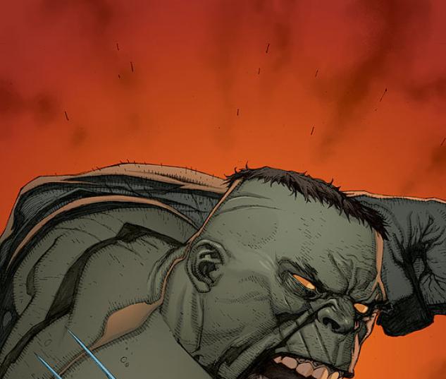 ULTIMATE WOLVERINE VS. HULK #3
