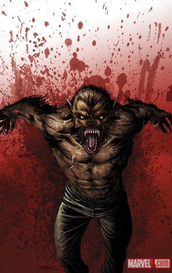 Marvel's Top 5 Hairiest Heroes
