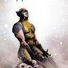 WOLVERINE 14