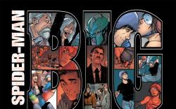 Amazing Spider-Man (1999) #652, 2nd Printing Variant