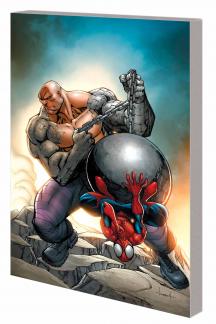 MARVEL UNIVERSE SPIDER-MAN: AMAZING FANTASY DIGEST (Digest)