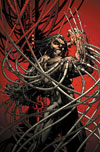 Ultimate Origins (2008) #1 (TURNER VARIANT)