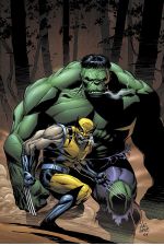 Incredible Hulk (1999) #80