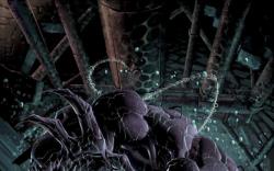 VENOM #14