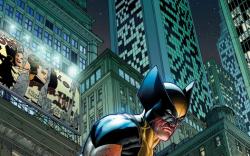 WOLVERINE #1 (2010) variant cover by Steve McNiven