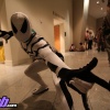 Dragon*Con 2011: Spider-Man Costumer