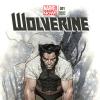 cover from Wolverine (2013) #1 (Coipel Variant)