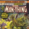 MAN-THING #10
