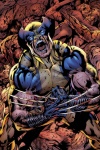 Wolverine: The Best There Is (2011) #11