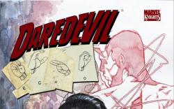 Daredevil/Echo: Parts of a Hole (Hardcover)
