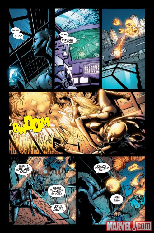 Black Panther (2008) #9