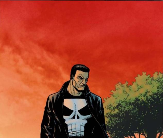 Punisher: Frank Castle Max (2009) #75 (DILLION VARIANT)