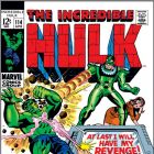 INCREDIBLE HULK (2009) #114 COVER
