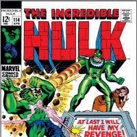 INCREDIBLE HULK (2009) #114 COVER