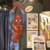 SPIDER-MAN DISPLAY