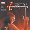 Elektra #27