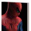 THE AMAZING SPIDER-MAN: THE MOVIE PRELUDE TPB