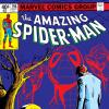 Amazing Spider-Man (1963) #196 Cover