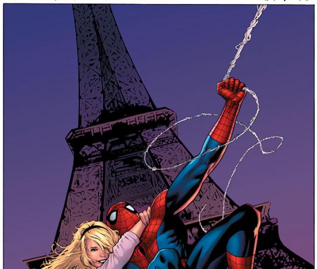 SPECTACULAR SPIDER-MAN (2006) #24 COVER