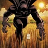 The Black Panther by John Romita Jr.