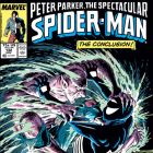 Peter Parker, The Spectacular Spider-Man #132