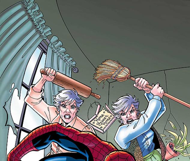 MARVEL ADVENTURES SPIDER-MAN #13