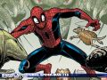 Marvel Adventures Spider-Man (2005) #16 Wallpaper