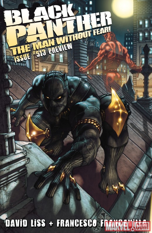 Image Featuring Black Panther