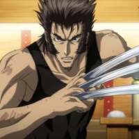 Looking back at the Wolverine Anime