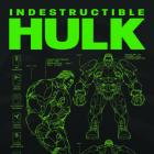 INDESTRUCTIBLE HULK 1 YU DESIGN VARIANT