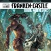 FRANKEN-CASTLE #19 cover by Simone Bianchi