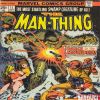 MAN-THING #11