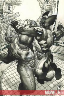 Wolverine (2003) #53 (Black and White Variant)