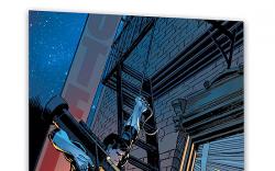 ESSENTIAL PUNISHER VOL. 2 #0