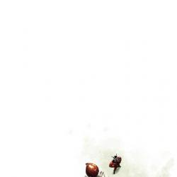 Ant-Man (2003 - 2004)